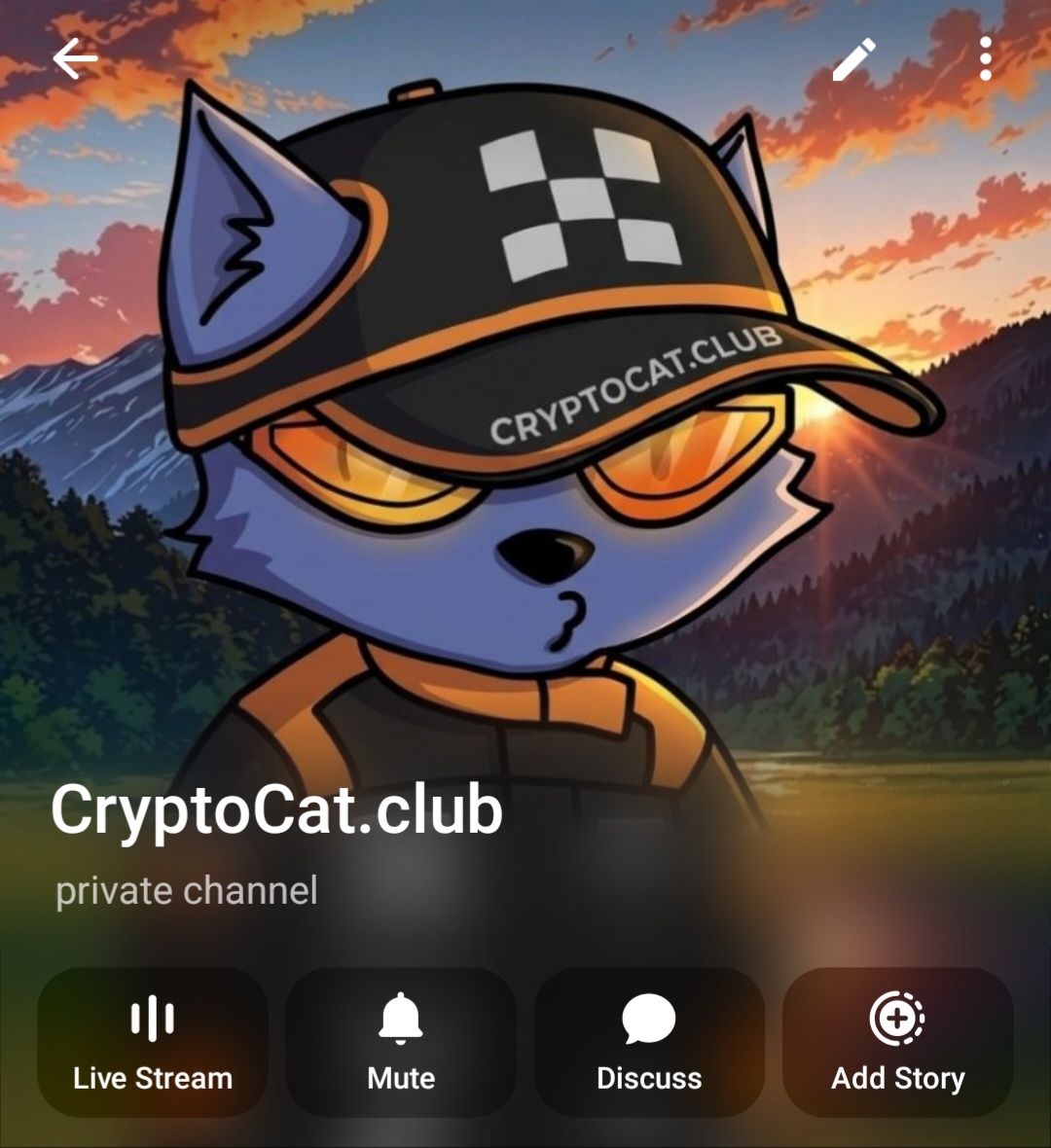 Cryptocat.club